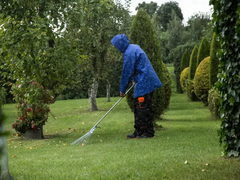 A worker in a blue rain jacket raking a wet lawn between young trees
