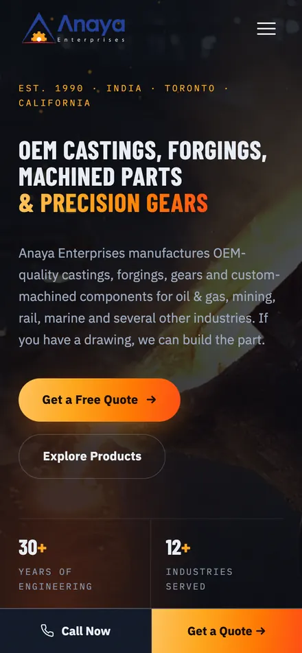 Anaya Enterprises homepage on a phone
